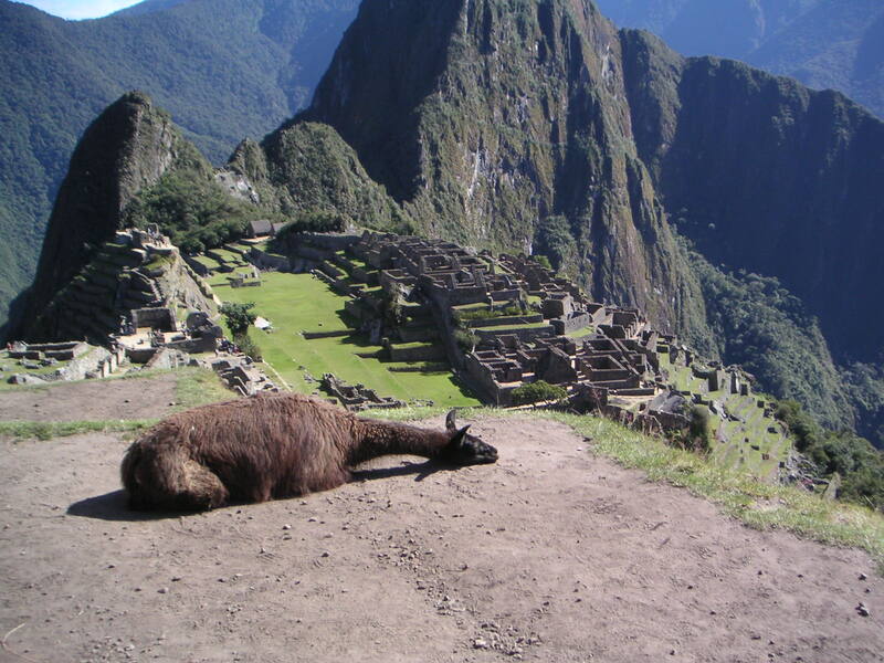 Machu Picchu